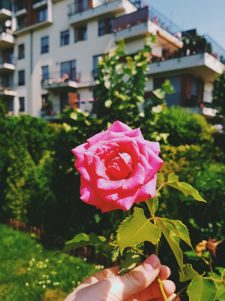 summer