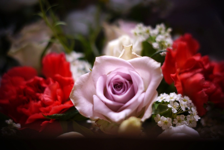 vintage rose and red carnation