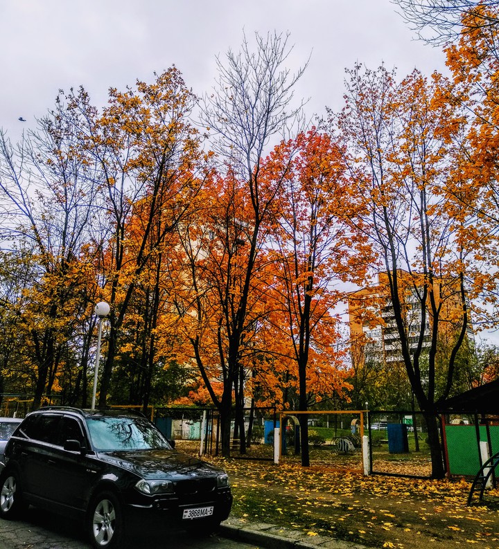 #autumn #Belarus #Minsk