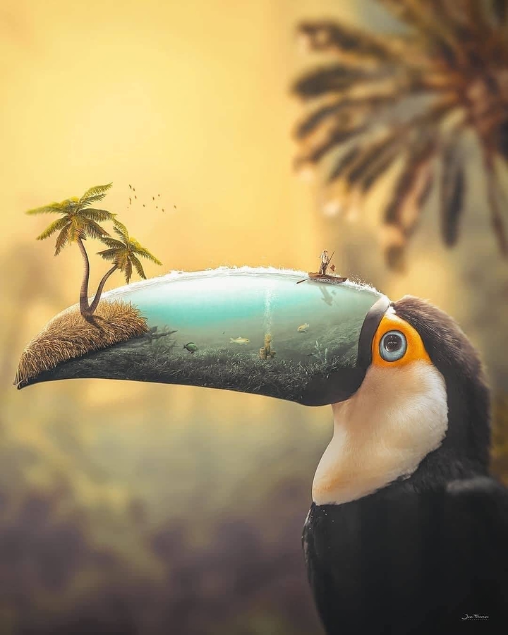 great art tucano