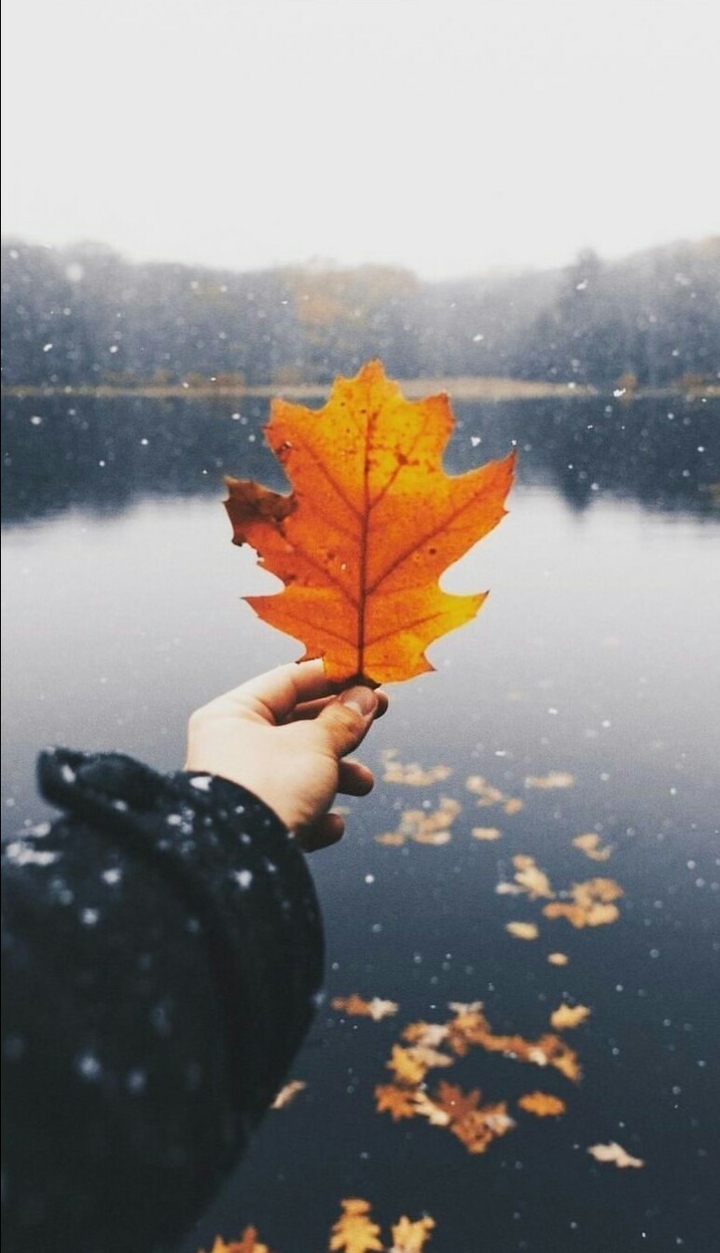 Autumn