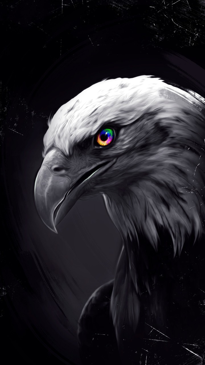 Aguila
