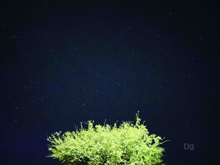 .esta foto la tome en el campo .. es espectacular ♥️