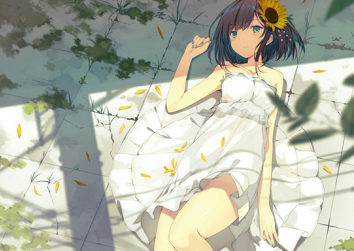 Anime ~