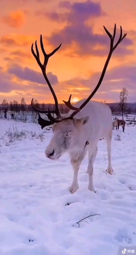 Finland