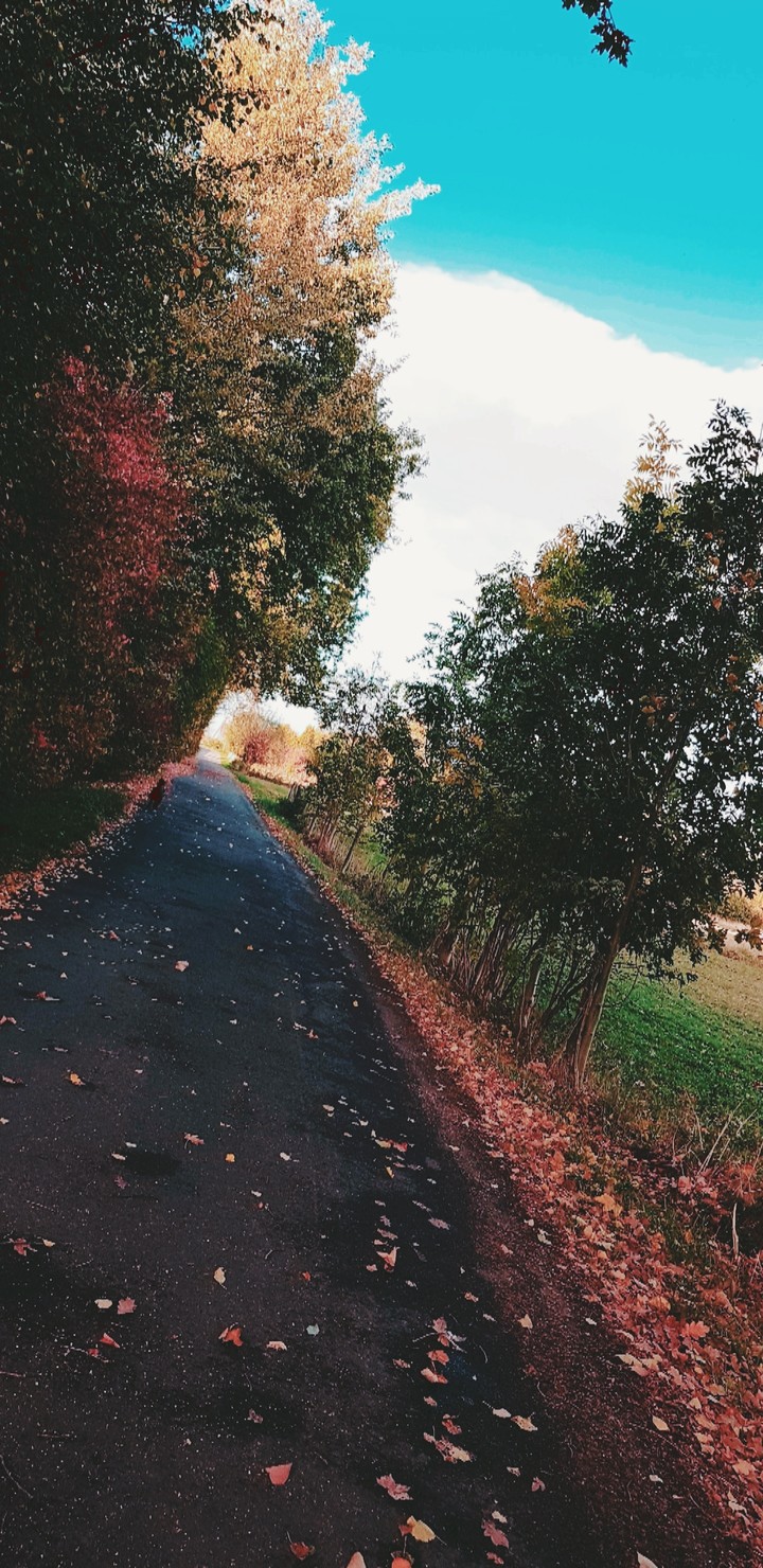 Herbst