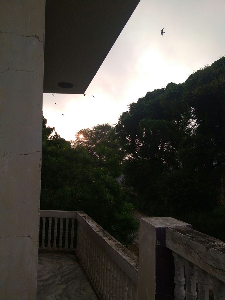 sweet morning...... 