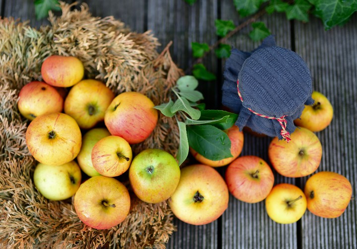 Apples