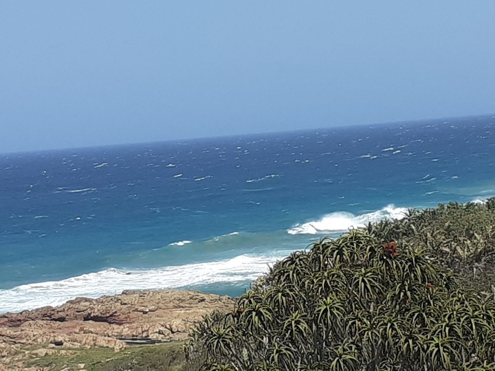 Waves