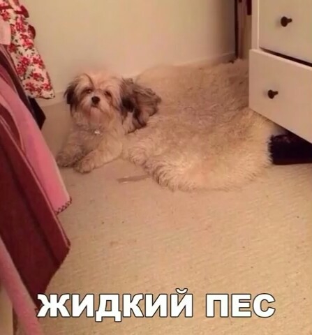 .