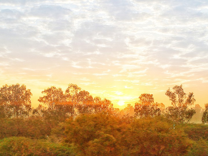 Morning Sunshine