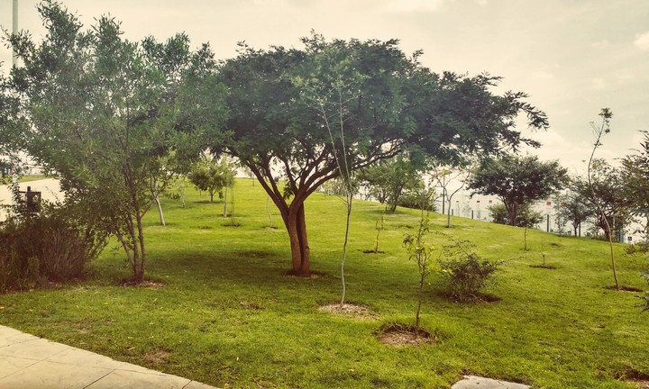 paisaje