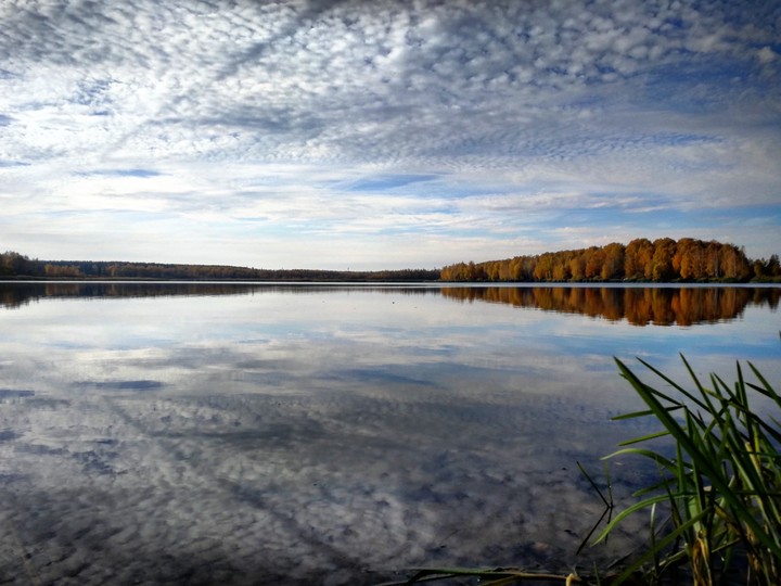 reflection