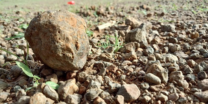 stone
