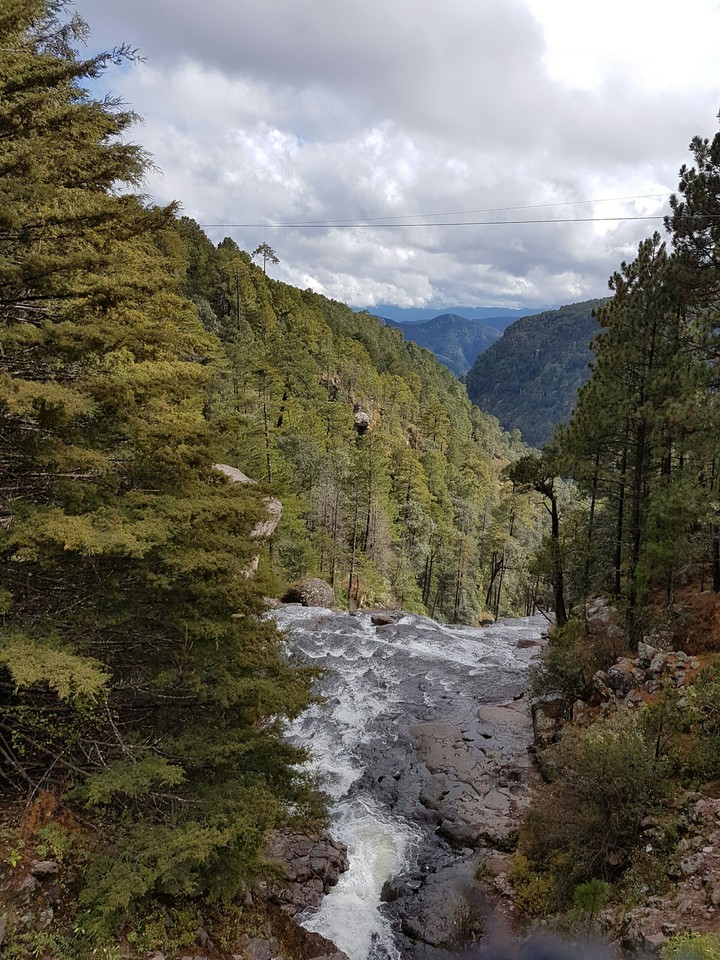 Nature