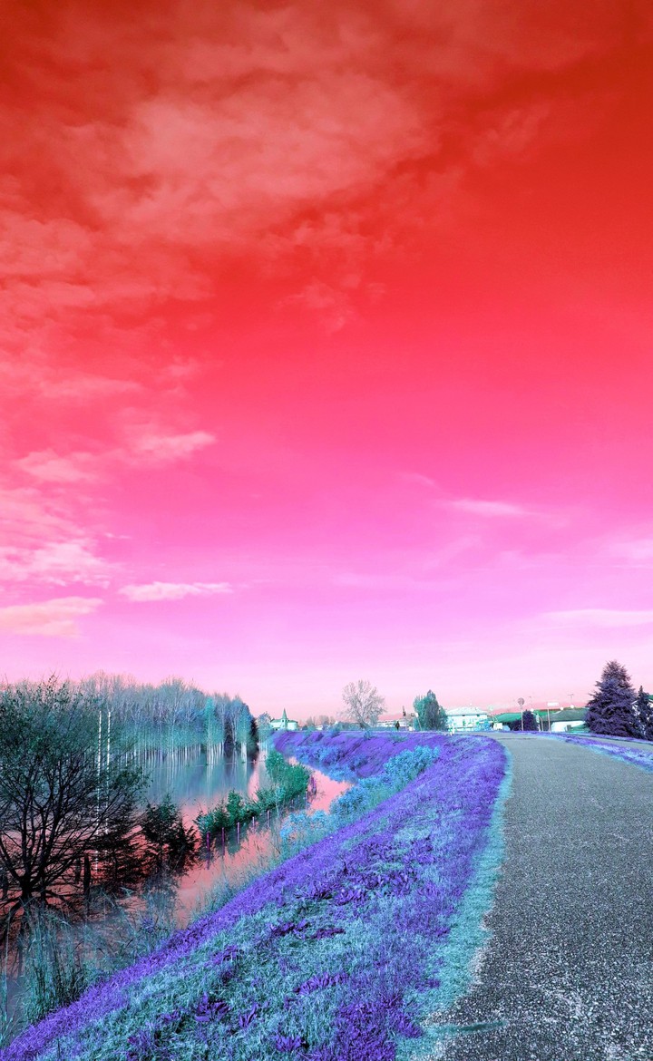 red and purple by me