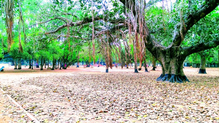amrakunja shantiniketan