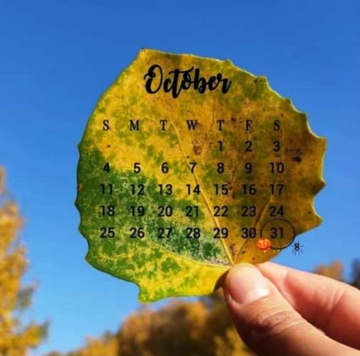 31 October