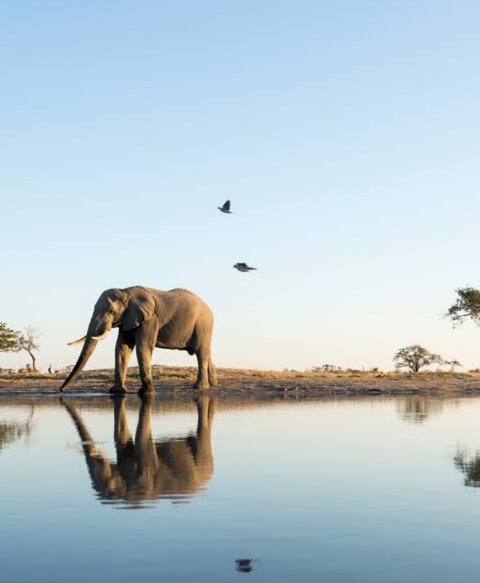 Africa