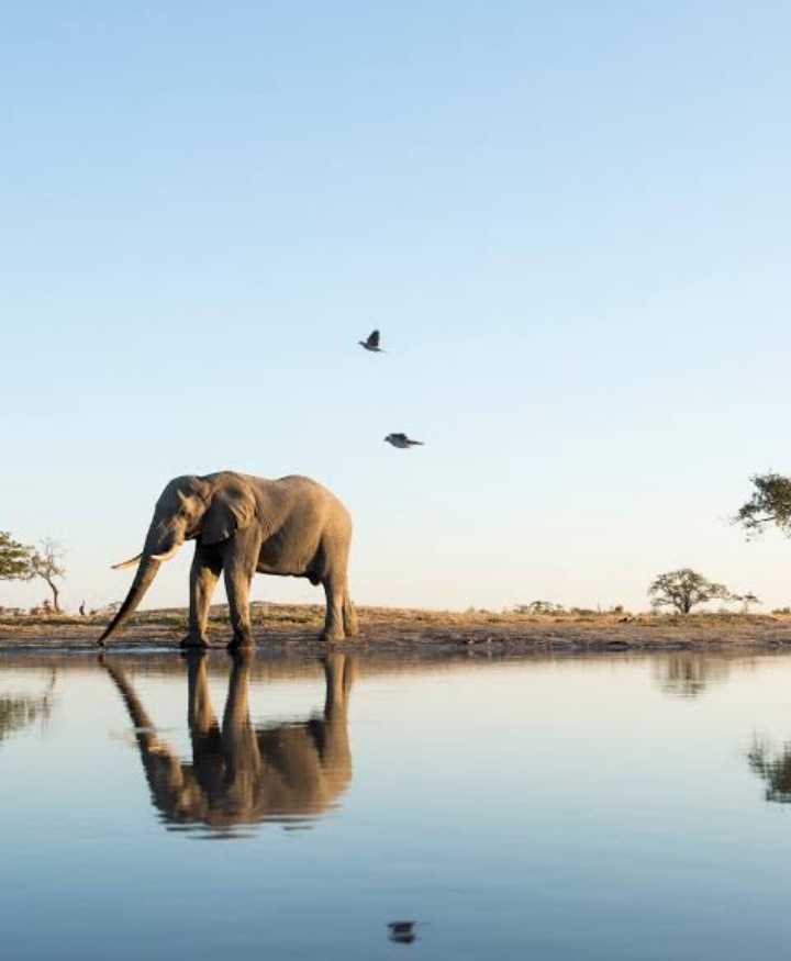 Africa