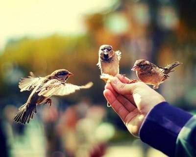 Life live