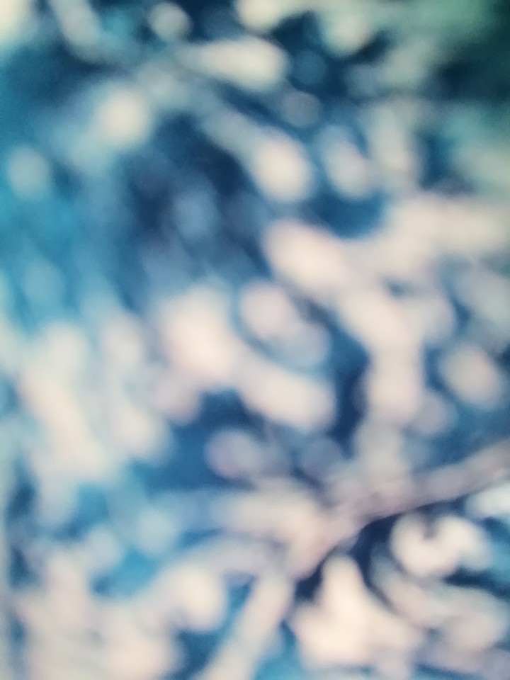 ≈