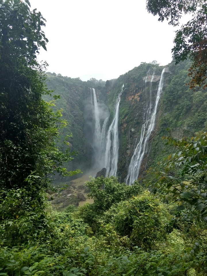 Jog Falls