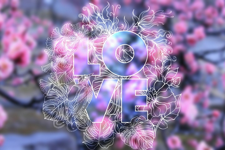 Spring is the time of love❤️