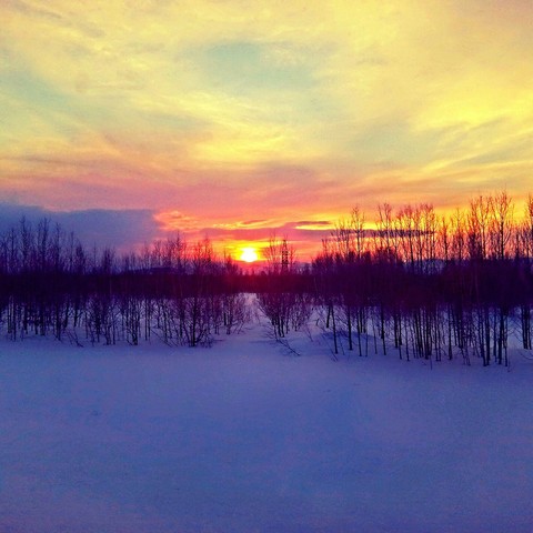 sunset
