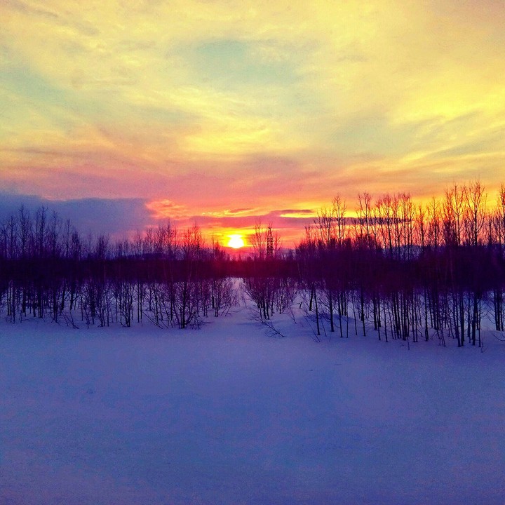 sunset