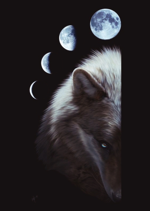 tapety fur, moon