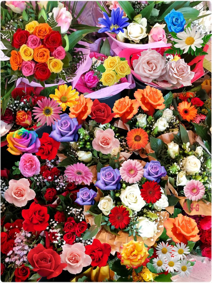 Blumen Traum