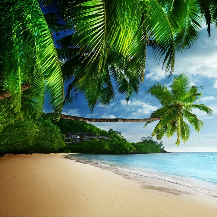 relaxing at beach