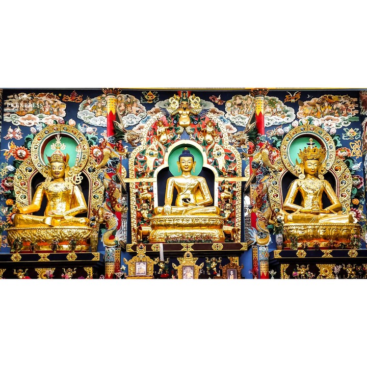 tibetan