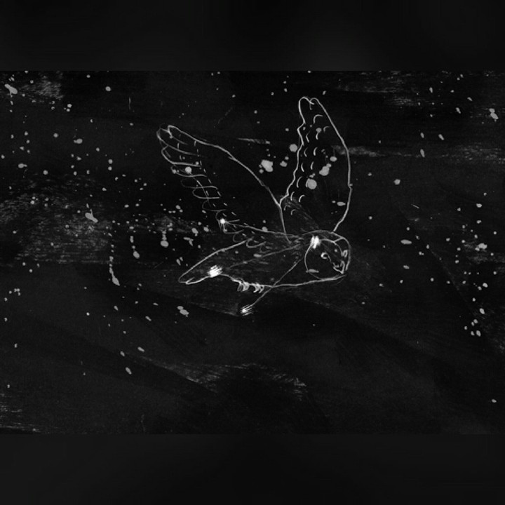 fly