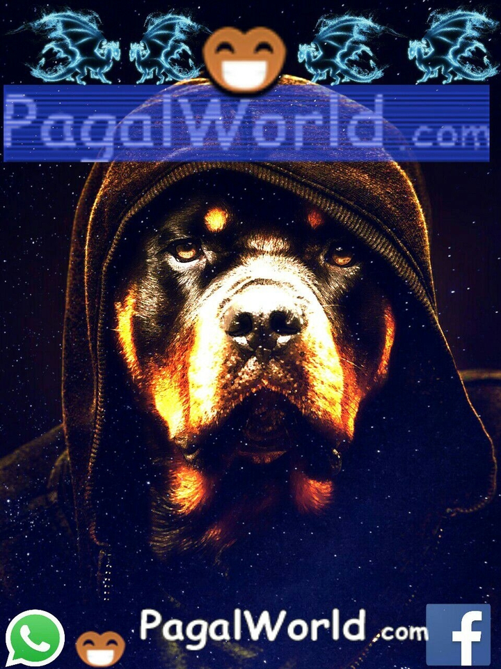 pagal