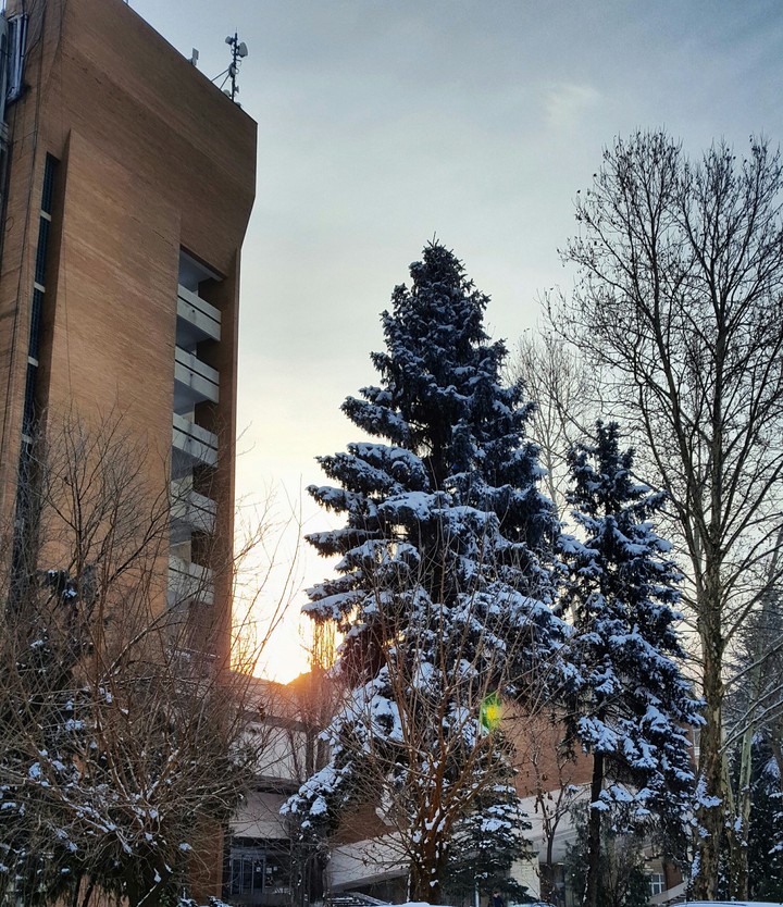 Winter morning