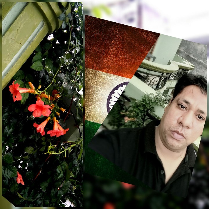 happy Independence day