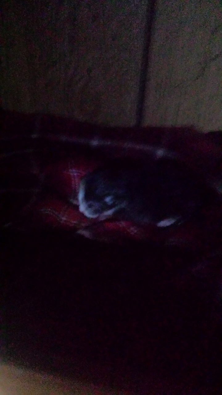 #baby