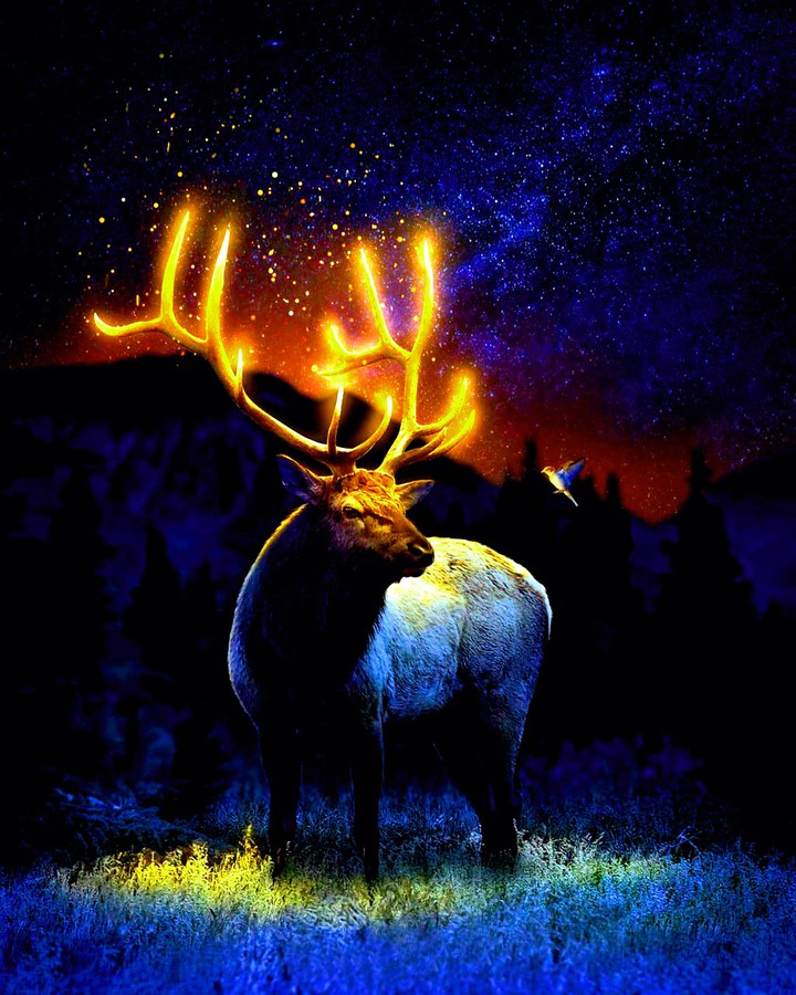 Thinking deer