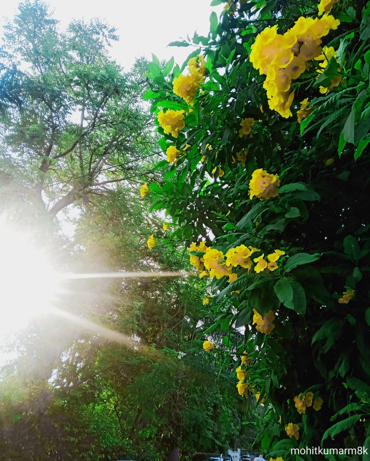 Sunrise
