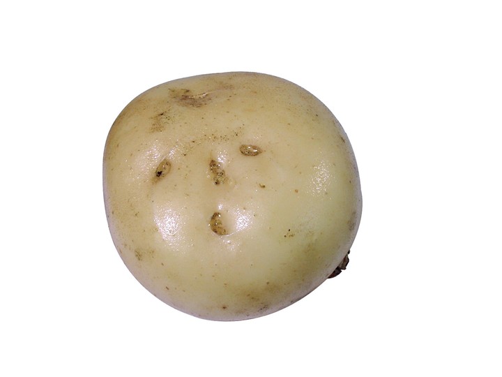 음식이미지