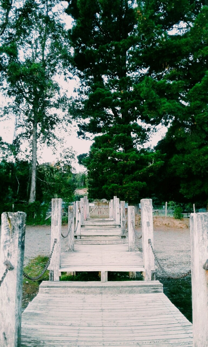 naturaleza