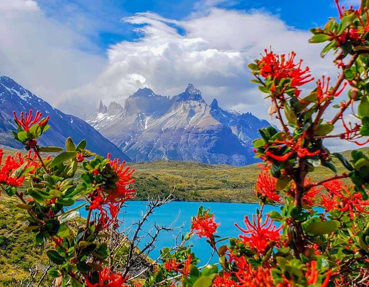 Nature