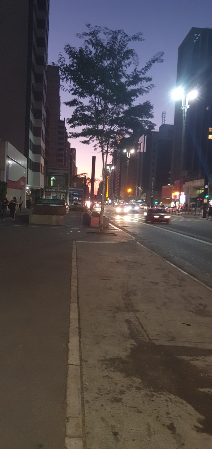 avenida noite top