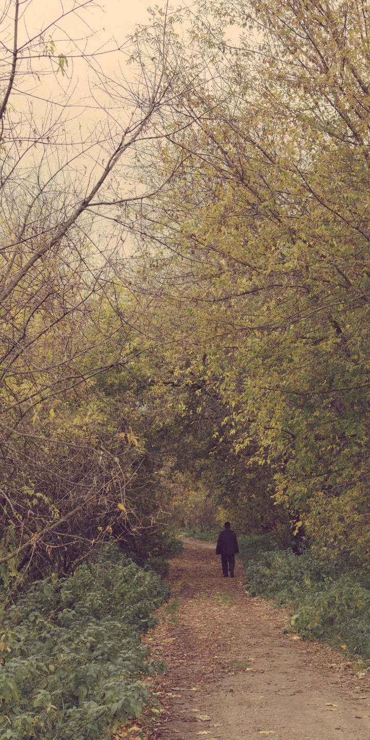 forest men