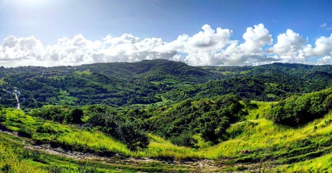 Barbados Country Side