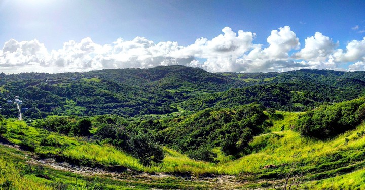 Barbados Country Side