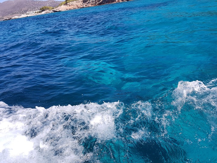splish splash