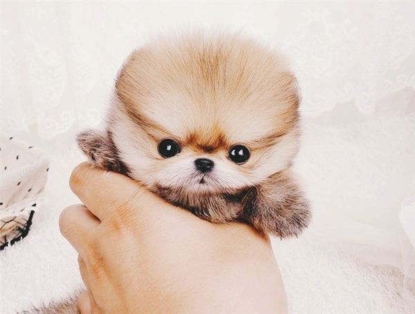 so cute